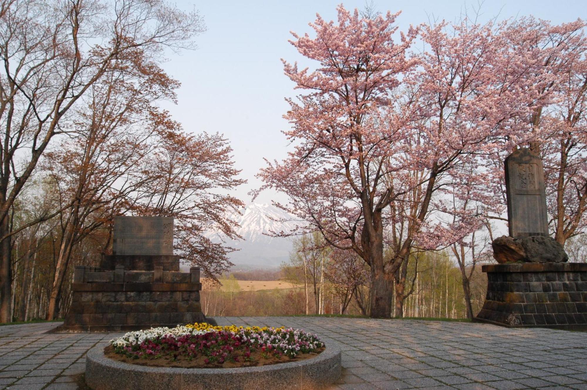Niseko Highland Cottages Exterior photo